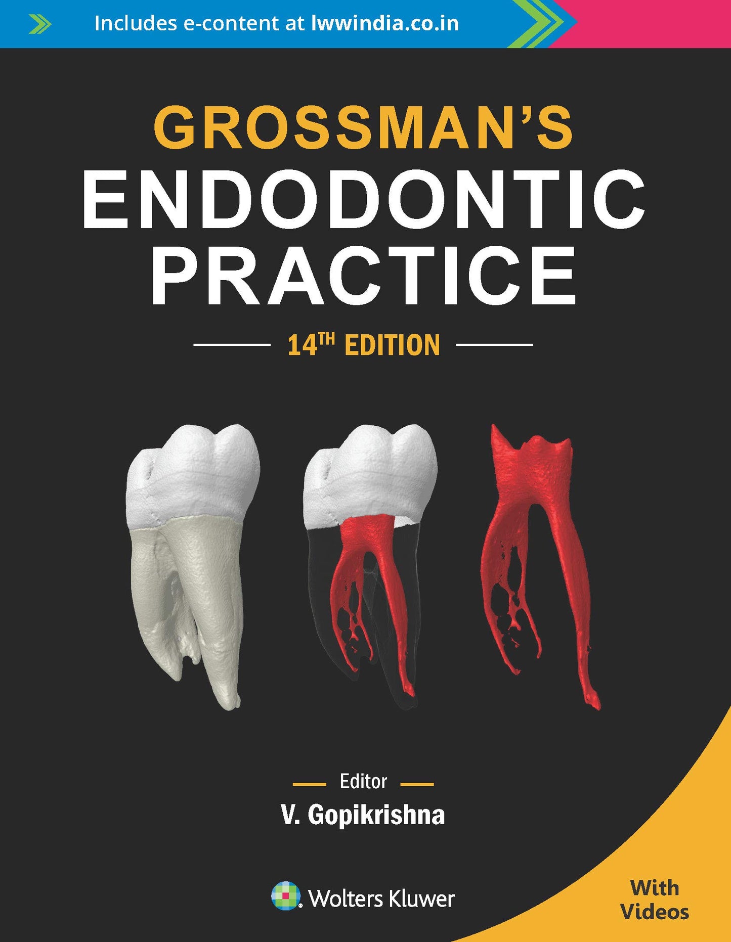 Grossman's Endodontic Practice with Videos