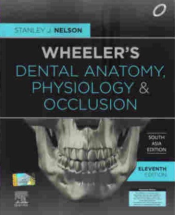 Wheeler'S Dental Anatomy, Physiology And Occlusion